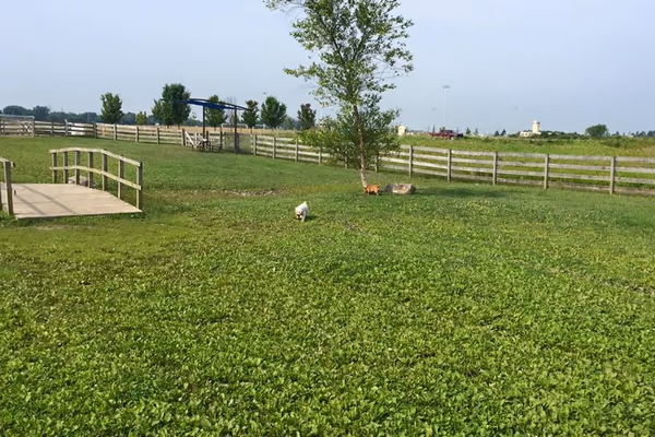 Wiggly Field Dog Park at Voice of America MetroPark photo 1